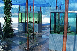 Aquariumbau Ennigerloh - Landesgartenschau Gronau