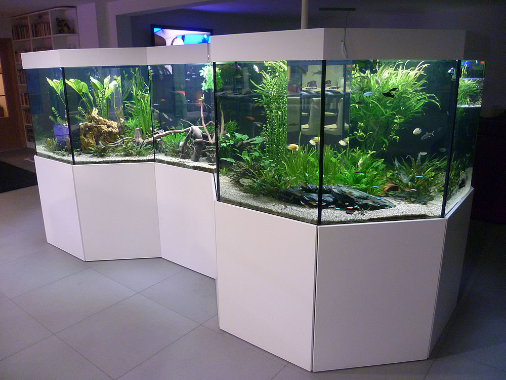 Umbau der Ausströmer  800l Aquarium 