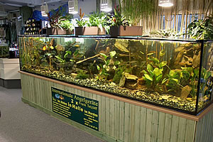 Aquariumbau Ennigerloh - Halle