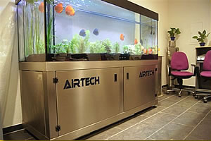 Aquariumbau Ennigerloh - Fa. Airtech Stickstoff GmbH